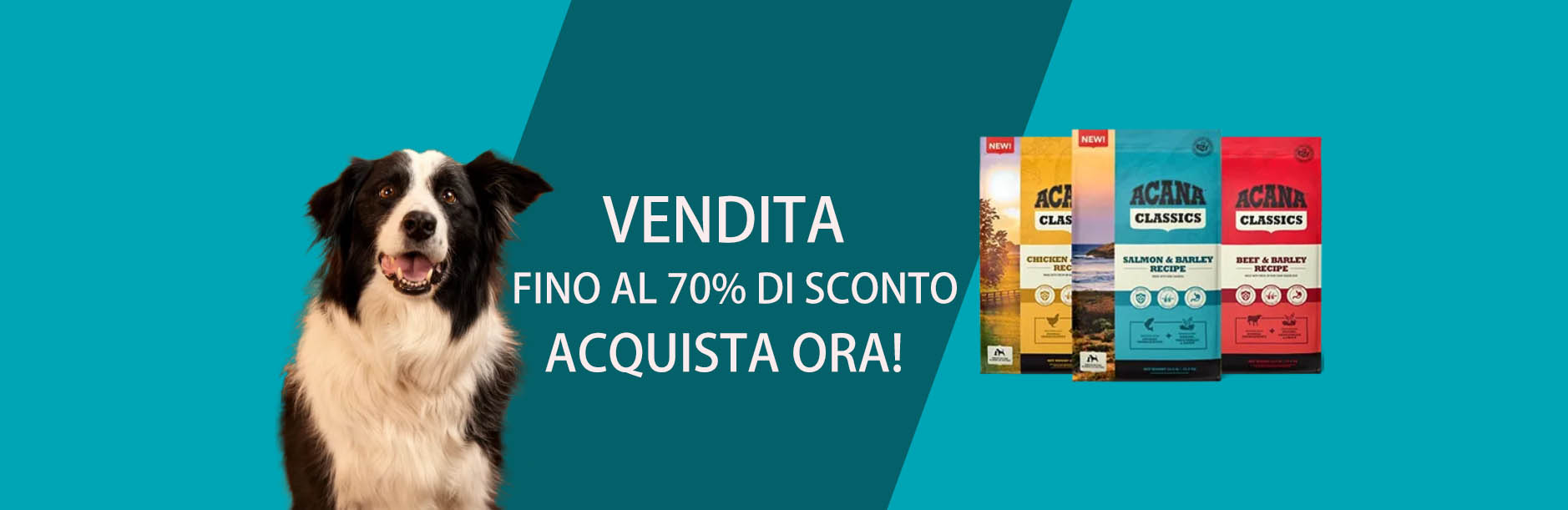 Ciam Animali -Ciam Animali FGJFGJ