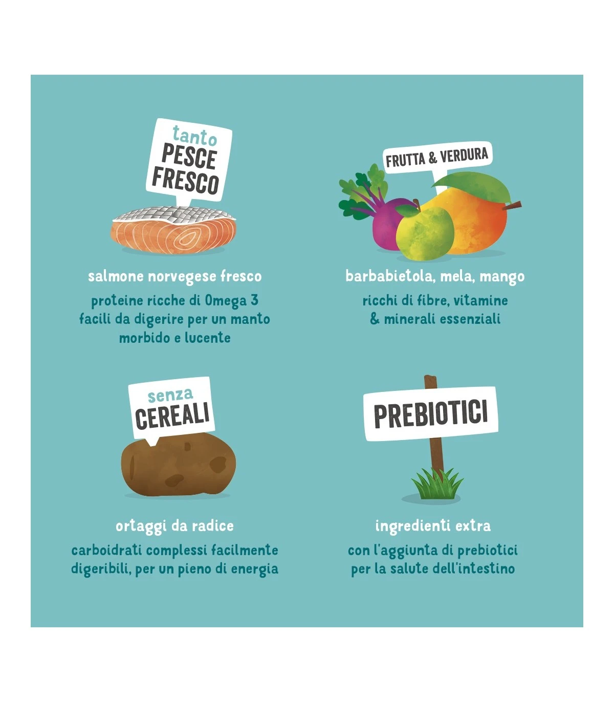 Edgard & Cooper Adult Carne Fresca Di Salmone Norvegese Senza Cereali 2,5 Kg 8 Edgard & Cooper Adult Carne Fresca Di Salmone Norvegese Senza Cereali 2,5 Kg - immagine 6