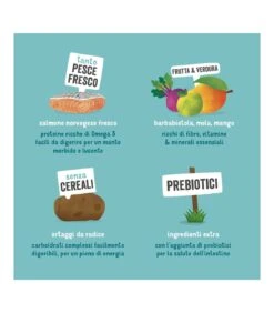 Edgard & Cooper Adult Carne Fresca Di Salmone Norvegese Senza Cereali 7 Kg 13 Edgard & Cooper Adult Carne Fresca Di Salmone Norvegese Senza Cereali 7 Kg -Ciam Animali edgard cooper adult carne fresca di salmone norvegese senza cereali 7 kg 5