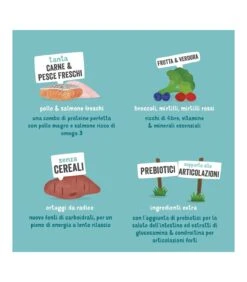 Edgard & Cooper Senior Carne Fresca Di Pollo Allevato A Terra E Salmone Norvegese Senza Cereali 2,5 Kg -Ciam Animali edgard cooper senior carne fresca di pollo allevato a terra e salmone norvegese senza cereali 25 kg 4