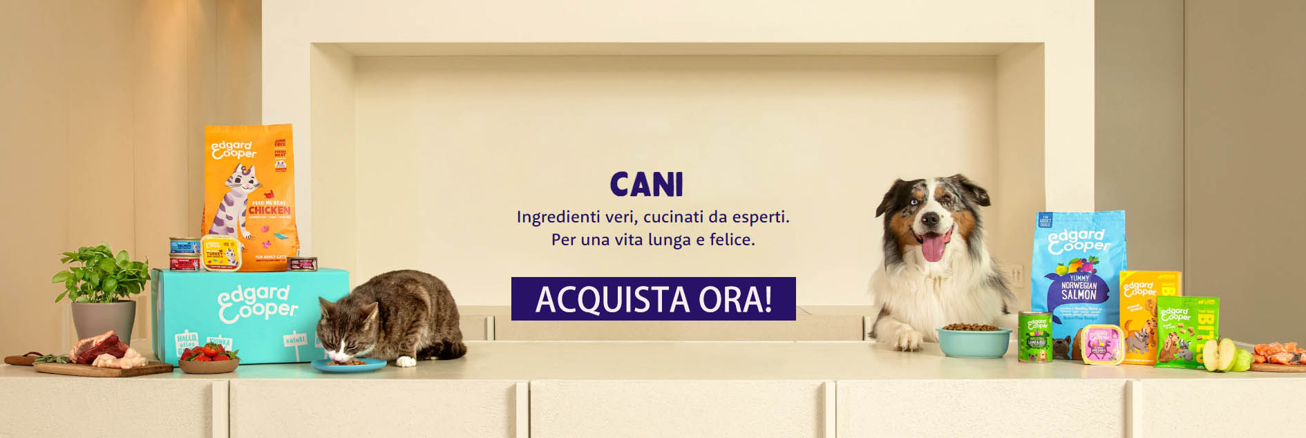 Ciam Animali -Ciam Animali fchfgh