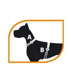 Ferplast Jogging Large Pettorina Con Guinzaglio -Ciam Animali ferplast jogging large pettorina con guinzaglio 2