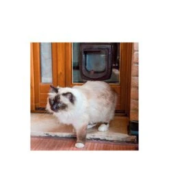 Ferplast Swing Microchip Bianco -Ciam Animali ferplast swing microchip bianco 2