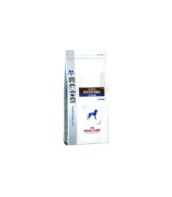 Royal Canin Gastro Intestinal Junior Cane 10 Kg